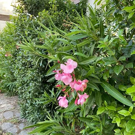 Casa Regalada En Provence Holiday home *